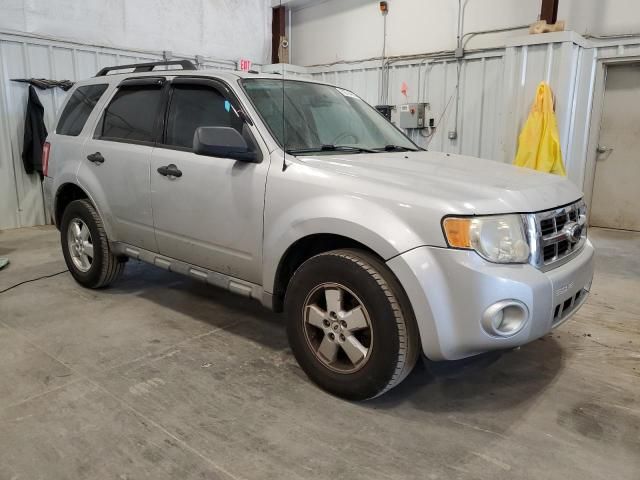 2009 Ford Escape XLT