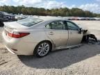 2013 Lexus ES 300H