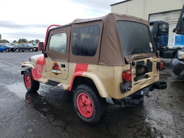 1993 Jeep Wrangler / YJ