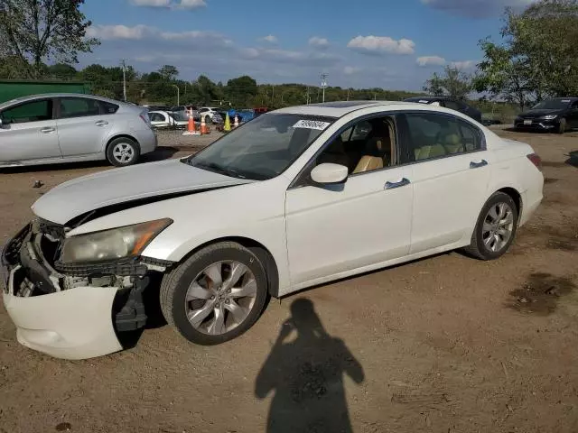 2008 Honda Accord EXL