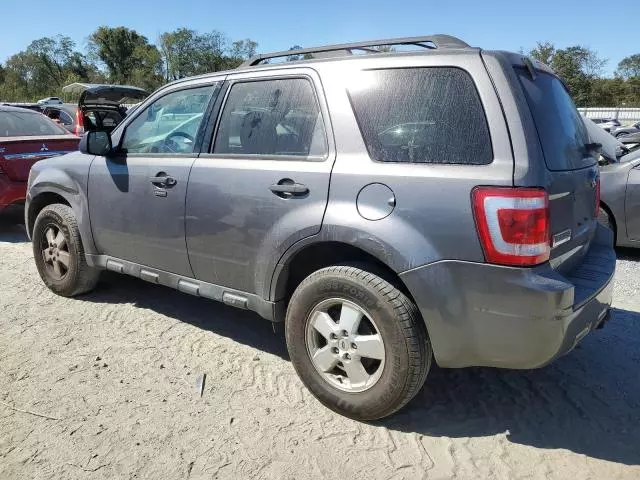 2011 Ford Escape XLT