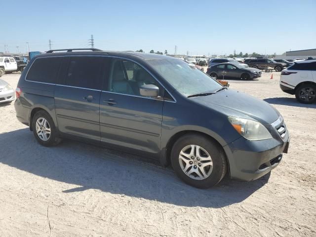 2005 Honda Odyssey EXL