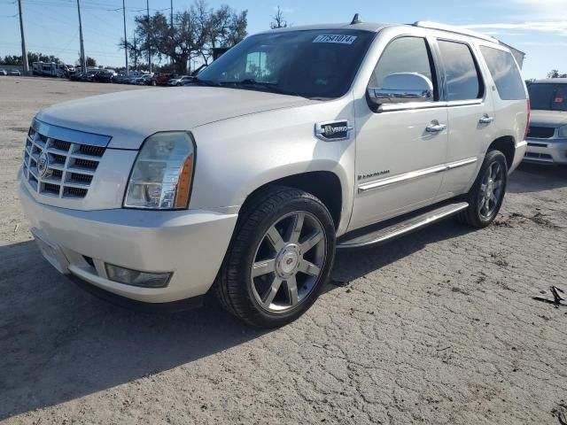 2009 Cadillac Escalade Hybrid