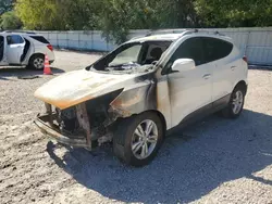 Hyundai salvage cars for sale: 2013 Hyundai Tucson GLS