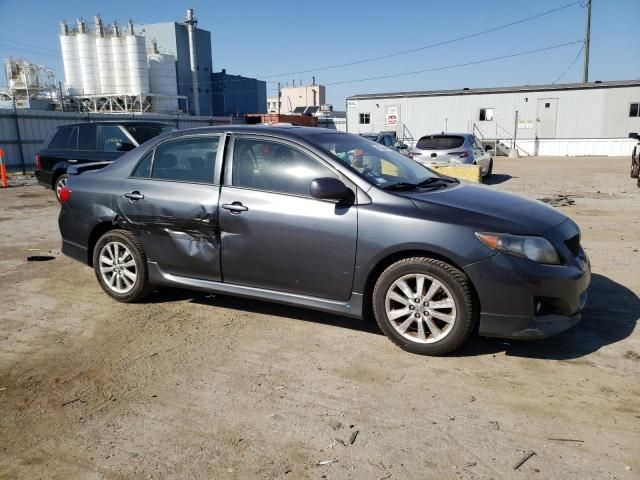 2009 Toyota Corolla Base