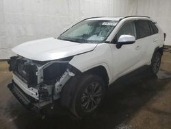 Toyota rav4 xle Premium salvage cars for sale: 2024 Toyota Rav4 XLE Premium