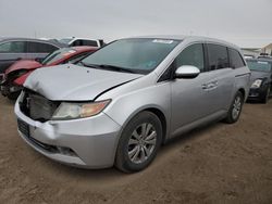 Salvage cars for sale at Brighton, CO auction: 2014 Honda Odyssey EX