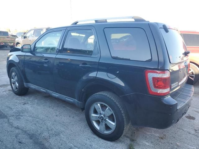 2009 Ford Escape Limited