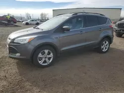 Ford salvage cars for sale: 2014 Ford Escape SE