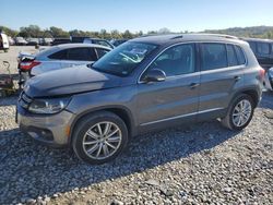 Volkswagen Tiguan s salvage cars for sale: 2014 Volkswagen Tiguan S