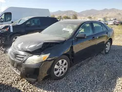 Toyota salvage cars for sale: 2010 Toyota Camry Base