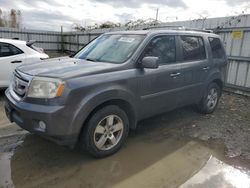 Salvage cars for sale at Arlington, WA auction: 2010 Honda Pilot EXL