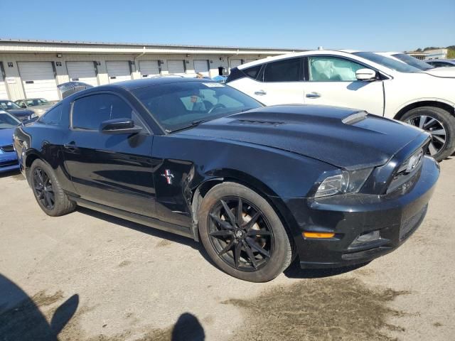 2013 Ford Mustang