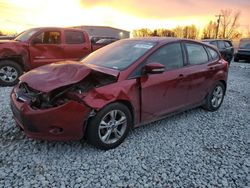 Salvage cars for sale at Wayland, MI auction: 2013 Ford Focus SE