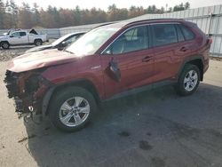 Toyota salvage cars for sale: 2021 Toyota Rav4 LE