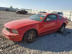 Salvage cars for sale at Earlington, KY auction: 2005 Ford Mustang