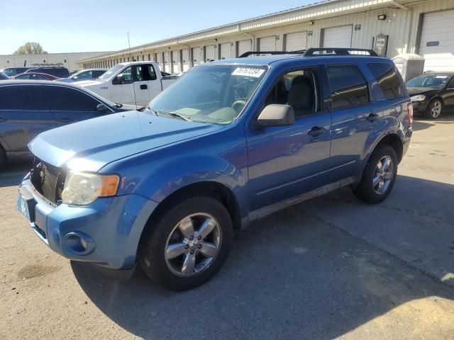 2010 Ford Escape XLT