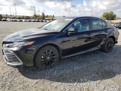 Salvage cars for sale at Mentone, CA auction: 2024 Toyota Camry LE