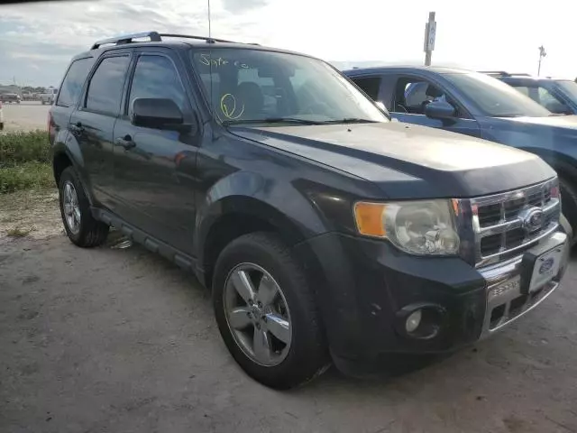 2011 Ford Escape Limited