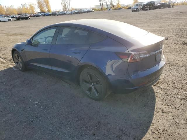 2021 Tesla Model 3