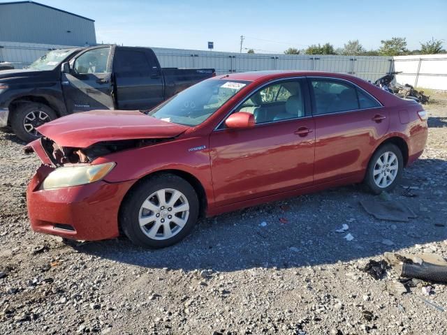 2009 Toyota Camry Hybrid