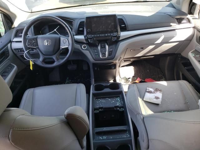 2023 Honda Odyssey EXL