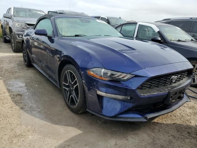 2020 Ford Mustang