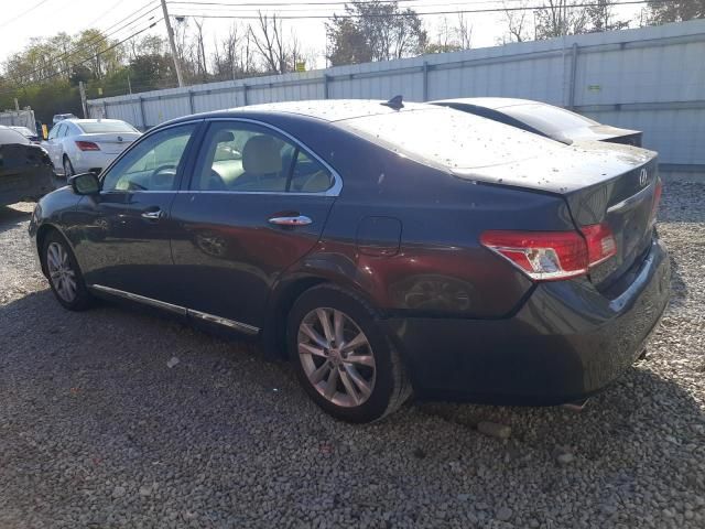 2011 Lexus ES 350