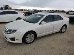 Salvage cars for sale at Arcadia, FL auction: 2010 Ford Fusion Hybrid