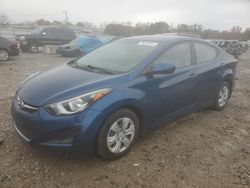 Salvage cars for sale at Louisville, KY auction: 2016 Hyundai Elantra SE