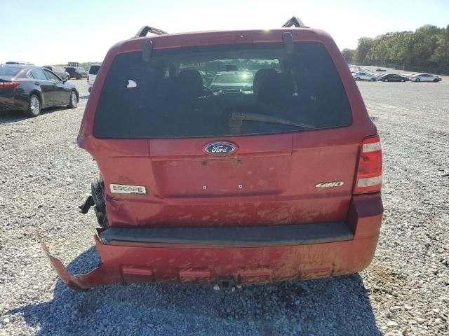 2008 Ford Escape XLT