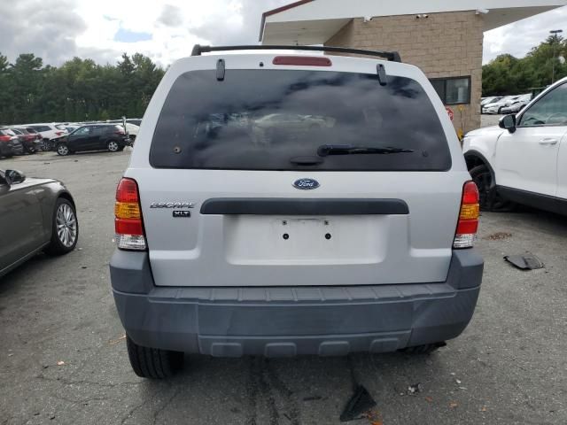 2007 Ford Escape XLT