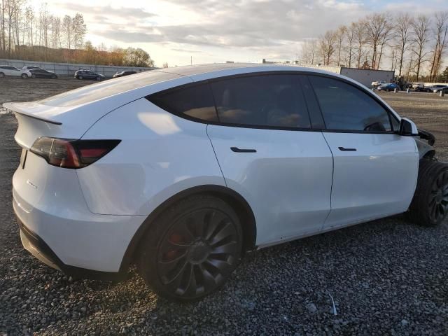 2020 Tesla Model Y