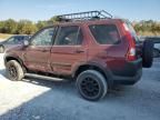 2006 Honda CR-V EX