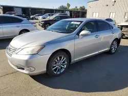 2011 Lexus ES 350 en venta en Fresno, CA