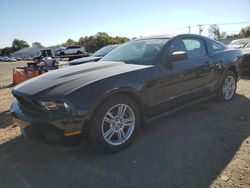 Salvage cars for sale at Hillsborough, NJ auction: 2010 Ford Mustang