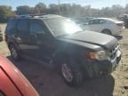 2008 Ford Escape HEV