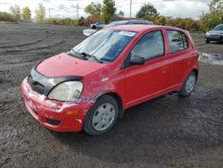 2005 Toyota Echo en venta en Montreal Est, QC