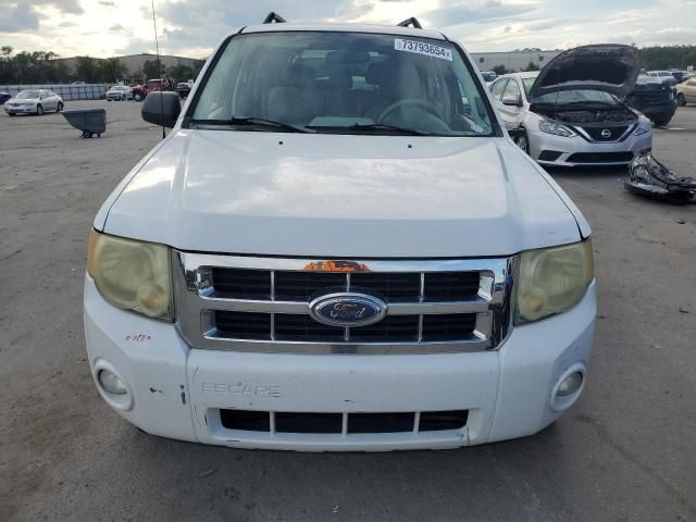 2008 Ford Escape XLT