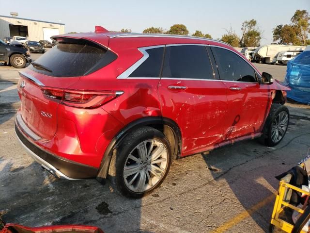 2023 Infiniti QX50 Sensory