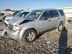 Ford Escape xls salvage cars for sale: 2008 Ford Escape XLS