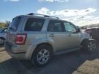 2010 Ford Escape Limited