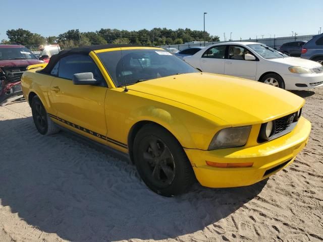 2005 Ford Mustang