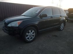 Salvage cars for sale at Elgin, IL auction: 2008 Honda CR-V EXL