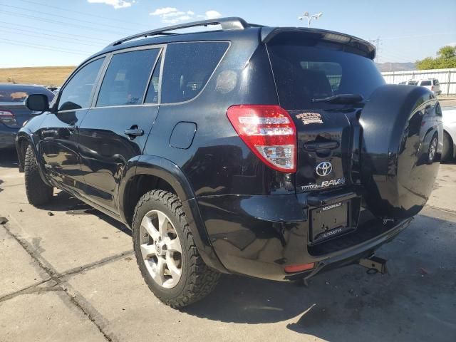 2009 Toyota Rav4 Limited