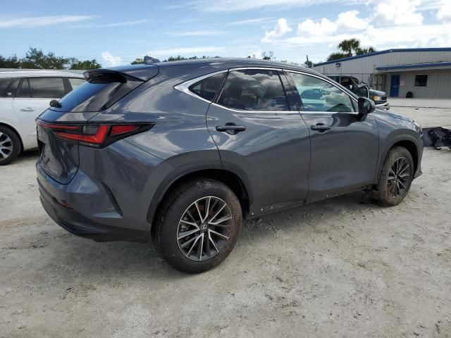 2025 Lexus NX 250 Premium