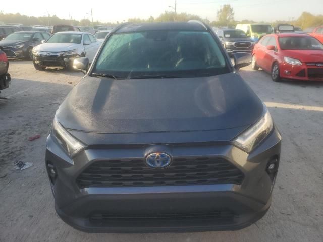 2024 Toyota Rav4 XLE Premium