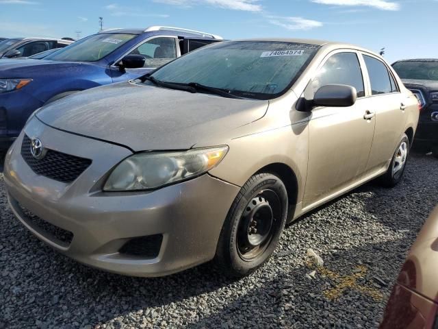 2010 Toyota Corolla Base