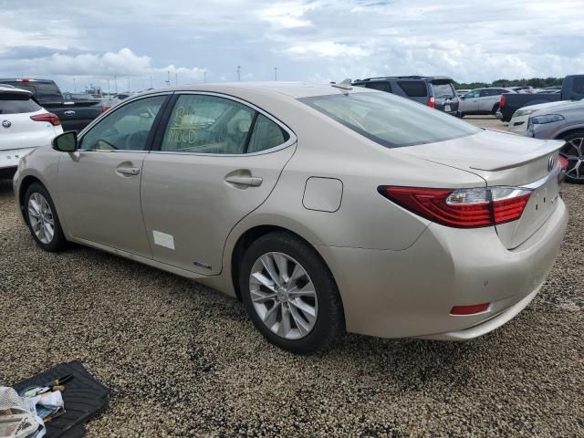 2014 Lexus ES 300H