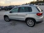 2013 Volkswagen Tiguan S